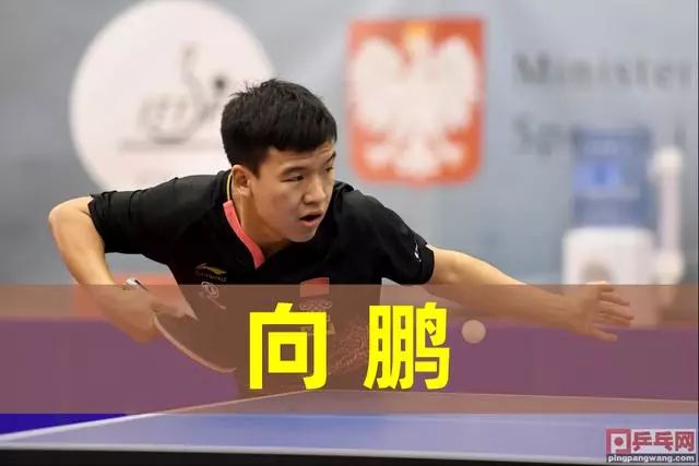 这项赛事不 这项赛事不